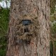 RECONYX - MASQUE - CAMBUSH TRAIL CAMERA GHILLIE SUIT