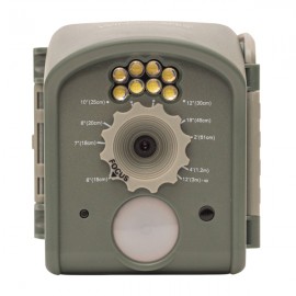 WINGSCAPES Birdcam